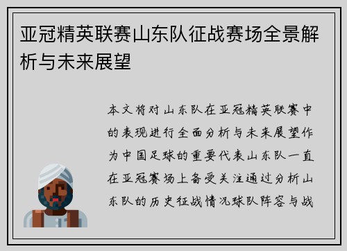 亚冠精英联赛山东队征战赛场全景解析与未来展望